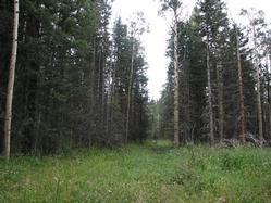 Hidden Lake Lot 17